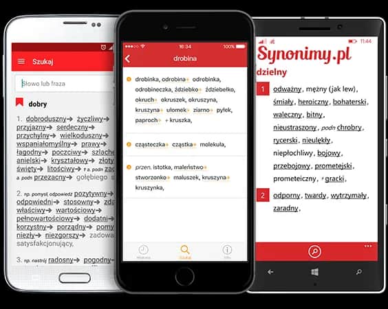 Słownik syno: Znajdź idealne synonimy i wzbogacaj swój język