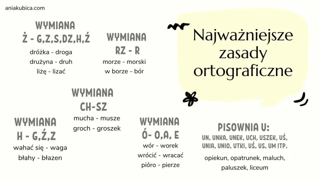 Prawidłowa pisownia nie ma - poznaj zasady ortografii i unikaj błędów