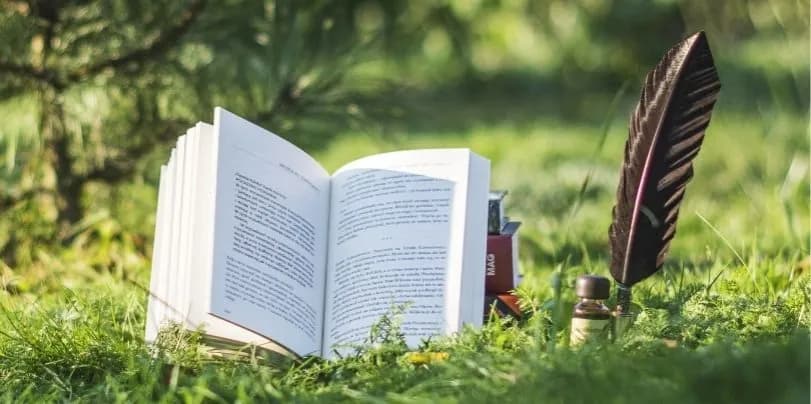 Mistrzowska recenzja książki krok po kroku. Jak uniknąć błędów?