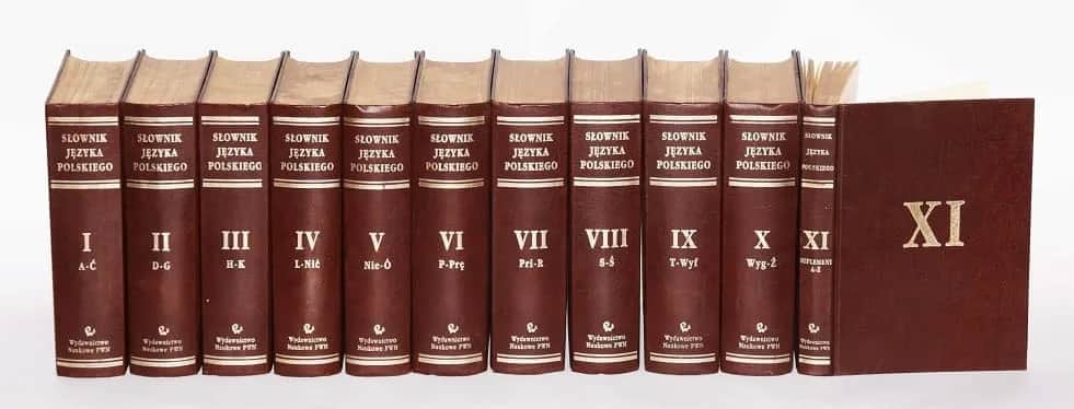 Uniwersalny słownik języka polskiego – klucz do współczesnej polszczyzny