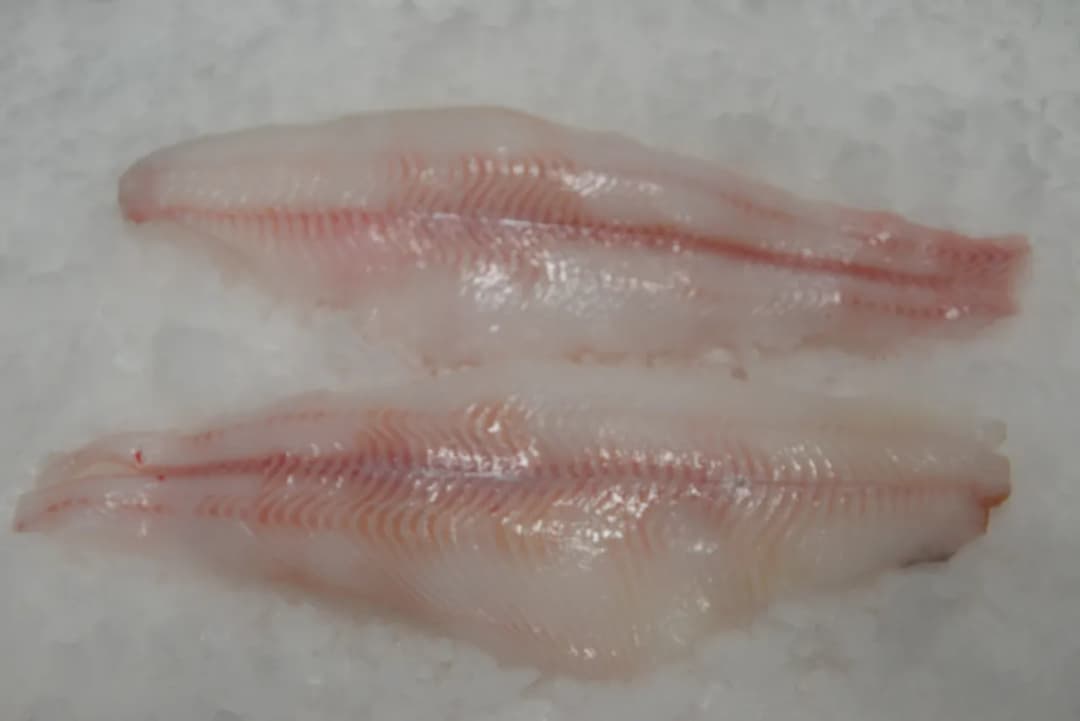 Jak się pisze świeży? Poznaj zasady, znaczenie i przykłady użycia.