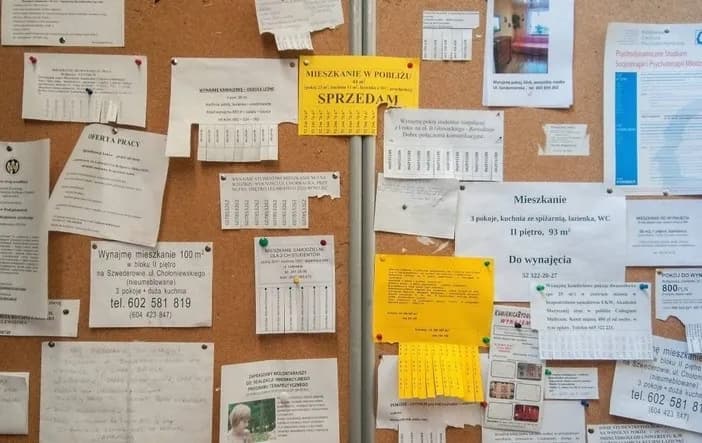 Jak napisać świetne ogłoszenie o wynajem mieszkania bez wpadek i strat