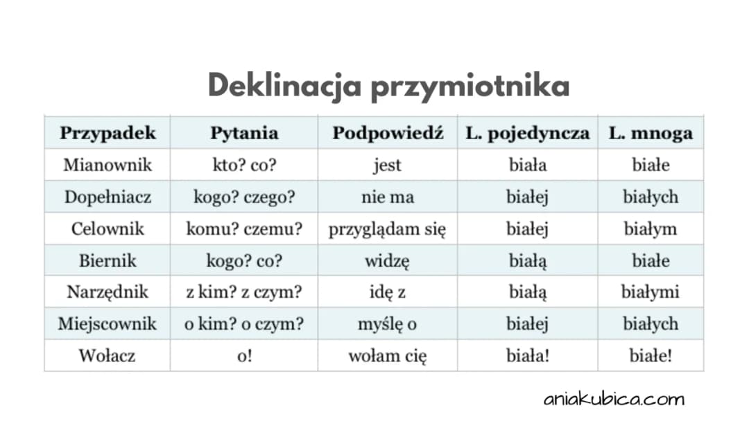 Dictum po polsku: znaczenie i kontekst prawniczy, które musisz znać